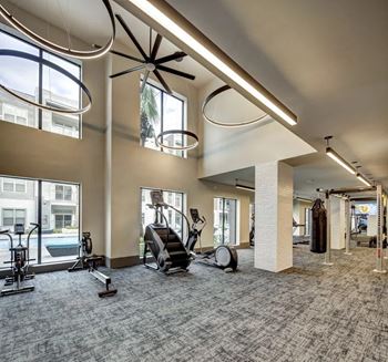 A gym with a variety of equipment including treadmills, stationary bikes, and weight machines.